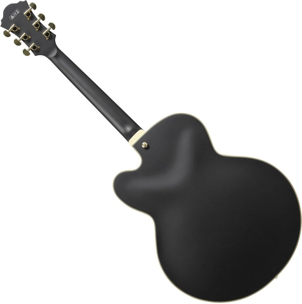 Gitara s dutým telom