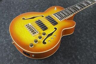 6-snarige basgitaar Ibanez TCB1006-ALM Autumn Leaf Burst Matte 6-snarige basgitaar - 3