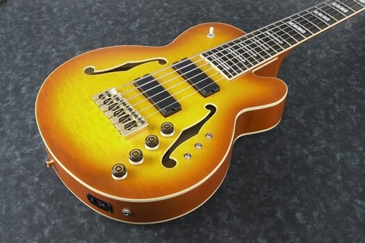 6-kielinen bassokitara Ibanez TCB1006-ALM Autumn Leaf Burst Matte 6-kielinen bassokitara - 4
