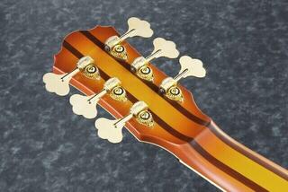6-snarige basgitaar Ibanez TCB1006-ALM Autumn Leaf Burst Matte 6-snarige basgitaar - 5