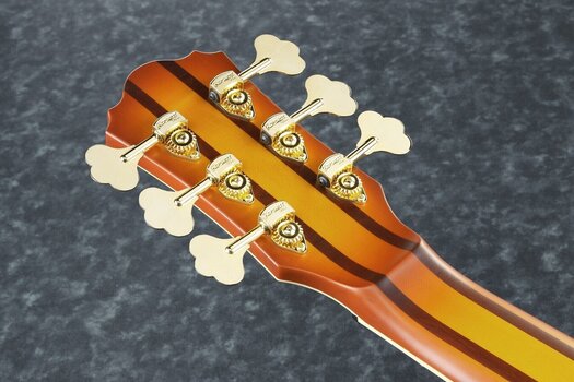 6-kielinen bassokitara Ibanez TCB1006-ALM Autumn Leaf Burst Matte 6-kielinen bassokitara - 6