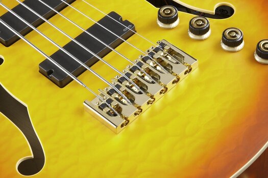 6-kielinen bassokitara Ibanez TCB1006-ALM Autumn Leaf Burst Matte 6-kielinen bassokitara - 8