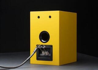 Hi-Fi Bookshelf speaker Pro-Ject Speaker Box 5 E Carbon Hi-Fi Bookshelf speaker Satin Gold Yellow 2 pcs - 7