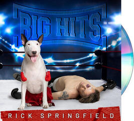 Musik-cd Rick Springfield - Big Hits: Rick Springfield's Greatest Hits, Vol. 2 (CD) - 1