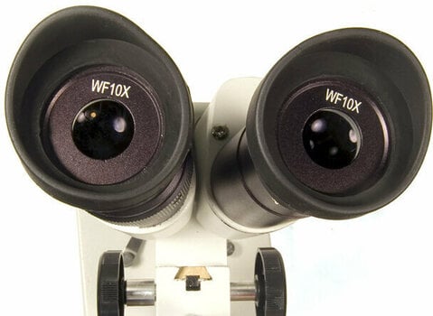 Microscopes Levenhuk 2ST Microscope Microscopes - 3