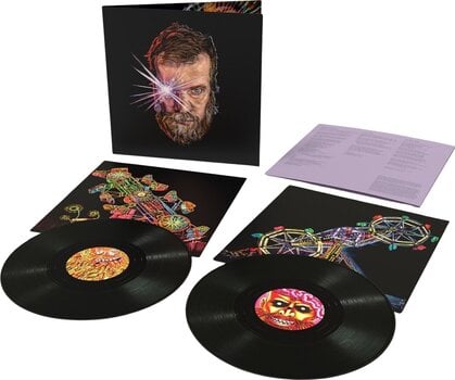 LP John Grant - Boy From Michigan (2 LP) - 2