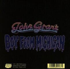 CD musicali John Grant - Boy From Michigan (CD) - 2