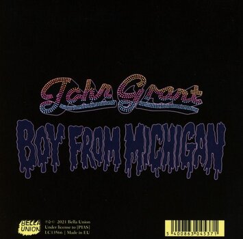 Muziek CD John Grant - Boy From Michigan (CD) - 3