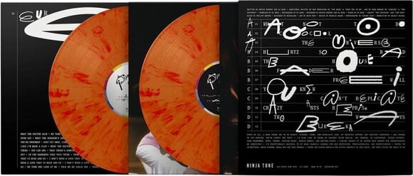 LP Róisín Murphy - Hit Parade Burnt Orange Marble Coloured LP (2 LP+ CD) - 3