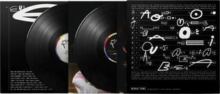Disc de vinil Róisín Murphy - Hit Parade (2 LP) - 2