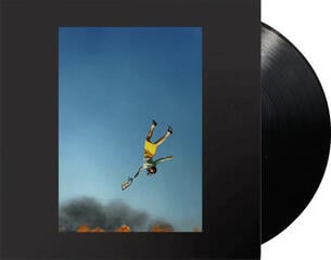 Disc de vinil Yeah Yeah Yeahs - Cool It Down (LP) - 1