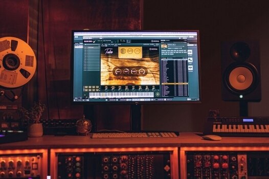 VST Instrument studio-software Steinberg Absolute 6 Full Version (Digitaal product) - 3