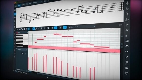 Software partiture Steinberg Dorico Elements 5 (Prodotto digitale) - 2