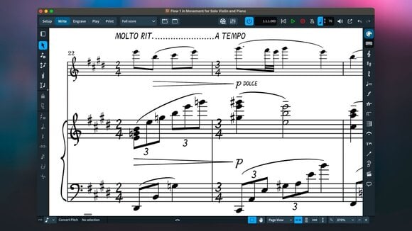 Scoring software Steinberg Dorico Pro 5 Competitive CG EE (Digitalni izdelek) - 6