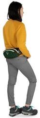Wallet, Crossbody Bag Osprey Daylite Waist Pack Waist Bag Night Shift Blue - 7