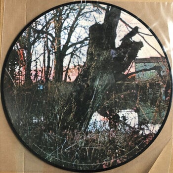 LP ploča Black Sabbath - Hand of Doom (Picture Disc) (Box Set) (Deluxe Edition) (8 LP) - 4