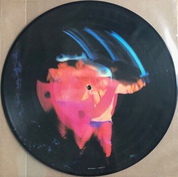 LP ploča Black Sabbath - Hand of Doom (Picture Disc) (Box Set) (Deluxe Edition) (8 LP) - 5