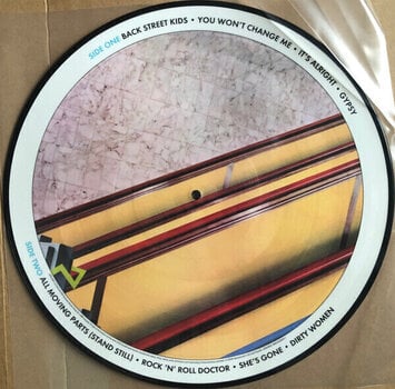 LP ploča Black Sabbath - Hand of Doom (Picture Disc) (Box Set) (Deluxe Edition) (8 LP) - 16