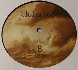 Vinyl Record Klone - Here Comes the Sun (LP) - 3