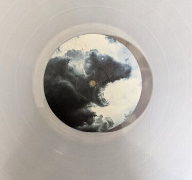 LP deska Klone - Meanwhile (Clear Coloured) (LP) - 4