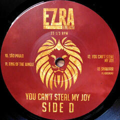 Disc de vinil Ezra Collective - You Can't Steal My Joy (Gatefold Sleeve) (2 LP) - 5