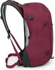 Outdoor Backpack Osprey Hikelite 32 Chameleon/Black/26 L - 2