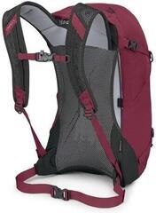 Outdoor Backpack Osprey Hikelite 32 Chameleon/Black/26 L - 3