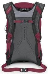 Outdoor Backpack Osprey Hikelite 32 Chameleon/Black/26 L - 4