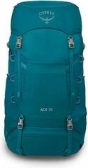 Lifestyle reppu / laukku Osprey Ace Reppu Blue Spikemoss/Deep Peyto 38 L - 1