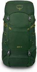 Lifestyle Rucksäck / Tasche Osprey Ace Rucksack Green Canopy/Matcha Green 38 L - 1