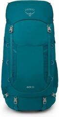 Lifestyle Backpack / Bag Osprey Ace Backpack Blue Spikemoss/Deep Peyto 65 L - 1