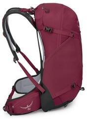 Outdoor-Rucksack Osprey Hikelite 28 Chameleon/Black M/L Outdoor-Rucksack - 2