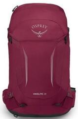 Outdoor-Rucksack Osprey Hikelite 28 Chameleon/Black M/L Outdoor-Rucksack - 1