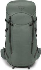 Lifestyle Rucksäck / Tasche Osprey Sportlite Pine Leaf Green/30 L - 1