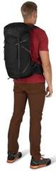 Lifestyle Rucksäck / Tasche Osprey Sportlite Pine Leaf Green/30 L - 5
