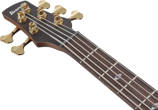 5-strunová basgitara Ibanez SR6605-GFB Ghost Fleet Blue Burst 5-strunová basgitara - 8
