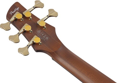 5-strunová basgitara Ibanez SR6605-GFB Ghost Fleet Blue Burst 5-strunová basgitara - 9