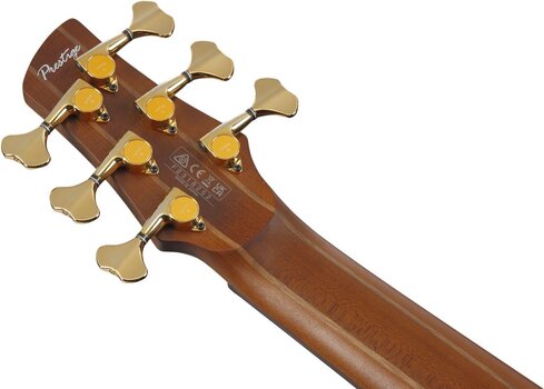 6-kielinen bassokitara Ibanez SR5506-MHF Mocha 6-kielinen bassokitara - 9