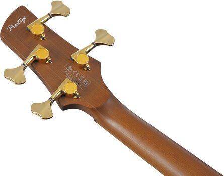 E-Bass Ibanez SR4500-DST Desert Sunset Burst E-Bass - 9