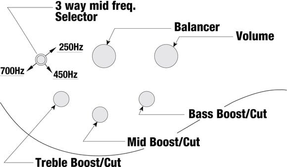 Bas 6-corzi Ibanez BTB606-TGF Transparent Gray Flat Bas 6-corzi - 10