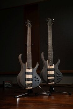 Basse 5 cordes Ibanez BTB605-TGF Transparent Gray Flat Basse 5 cordes - 12