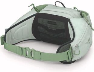 Portofel, geantă crossbody Osprey Tempest 6 Geantă de talie Frosty Mint Green/Botanica - 1