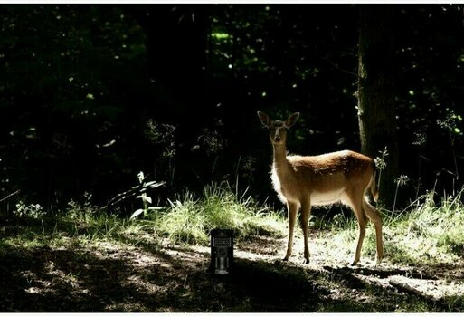 Camera acțiune Bresser National Geographic Wildlife and Observation Camera - 3