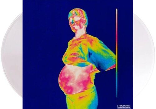 LP ploča Brockhampton - Iridescence (Clear Coloured) (2 LP) - 2
