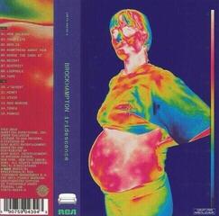 Disc de vinil Brockhampton - Iridescence (Clear Coloured) (2 LP) - 3