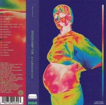LP ploča Brockhampton - Iridescence (Clear Coloured) (2 LP) - 4