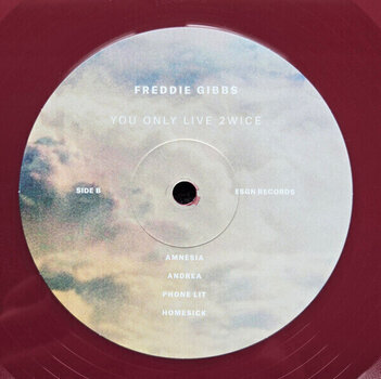 LP deska Freddie Gibbs - You Only Live 2Wice (Deep Red Coloured) (LP) - 4