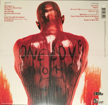 LP ploča DMX - Flesh Of My Flesh, Blood Of My Blood (Clear with Blood Splatter Coloured) (2 LP) - 4