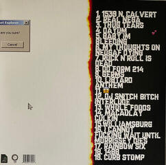Disc de vinil Jpegmafia - Veteran (Clear Coloured) (LP) - 4