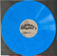 Disco de vinilo Kevin Abstract - Arizona Baby (Translucent Blue with White Swirl Coloured) (LP) - 3